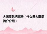 大滿貫包括哪些（什么是大滿貫簡介介紹）