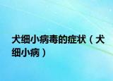 犬細小病毒的癥狀（犬細小?。? /></span></a>
                        <h2><a href=