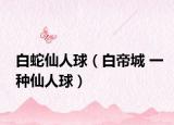 白蛇仙人球（白帝城 一種仙人球）