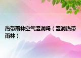 熱帶雨林空氣濕潤嗎（濕潤熱帶雨林）