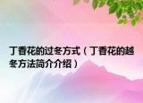 丁香花的過冬方式（丁香花的越冬方法簡介介紹）