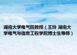 湖南大學(xué)電氣院教授（王玲 湖南大學(xué)電氣與信息工程學(xué)院博士生導(dǎo)師）
