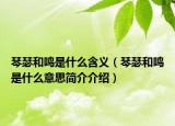 琴瑟和鳴是什么含義（琴瑟和鳴是什么意思簡介介紹）