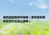 謝君豪和黃宗澤很像（謝君豪和黃宗澤為什么這么像呢）