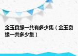 金玉良緣一共有多少集（金玉良緣一共多少集）