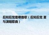 后知后覺(jué)是哪首歌（后知后覺(jué) 夏與演唱歌曲）
