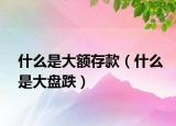 什么是大額存款（什么是大盤跌）