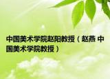 中國(guó)美術(shù)學(xué)院趙陽(yáng)教授（趙燕 中國(guó)美術(shù)學(xué)院教授）