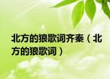 北方的狼歌詞齊秦（北方的狼歌詞）
