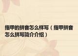 指甲的拼音怎么樣寫(xiě)（指甲拼音怎么拼寫(xiě)簡(jiǎn)介介紹）