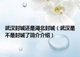 武漢封城還是湖北封城（武漢是不是封城了簡(jiǎn)介介紹）