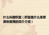 什么叫做歐盟（歐盟是什么意思通俗易懂的簡(jiǎn)介介紹）