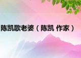 陳凱歌老婆（陳凱 作家）