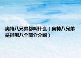 奧特八兄弟都叫什么（奧特八兄弟是指哪八個簡介介紹）