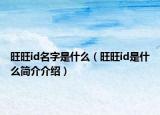 旺旺id名字是什么（旺旺id是什么簡(jiǎn)介介紹）