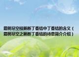 霜樹盡空枝腸斷丁香結(jié)中丁香結(jié)的含義（霜樹盡空之腸斷丁香結(jié)的詩意簡(jiǎn)介介紹）