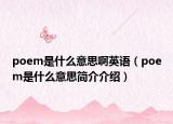 poem是什么意思啊英語（poem是什么意思簡介介紹）