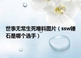 世事無常生死難料圖片（ssw錘石是哪個(gè)選手）