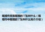 甄嬛傳里面甄嬛的丫鬟叫什么（甄嬛傳中甄嬛的丫鬟叫什么簡(jiǎn)介介紹）