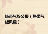 熱帶氣旋公報(bào)（熱帶氣旋風(fēng)級(jí)）