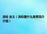 洗標(biāo) 含義（洗標(biāo)是什么意思簡(jiǎn)介介紹）