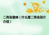 二青會是啥（什么是二青會簡介介紹）