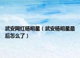 武安網(wǎng)紅楊明星（武安楊明星最后怎么了）