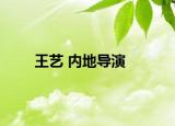 王藝 內(nèi)地導(dǎo)演