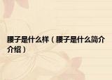 腰子是什么樣（腰子是什么簡(jiǎn)介介紹）