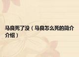 馬良死了沒（馬良怎么死的簡介介紹）