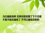 當(dāng)日最新消息 花唄還款延期了下個月是不是不能還最低了 不可以最低還款的