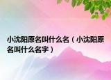 小沈陽原名叫什么名（小沈陽原名叫什么名字）
