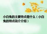 小白兔的主要特點(diǎn)是什么（小白兔的特點(diǎn)簡介介紹）