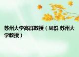 蘇州大學(xué)高群教授（周群 蘇州大學(xué)教授）
