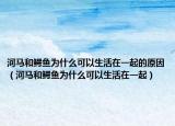 河馬和鱷魚(yú)為什么可以生活在一起的原因（河馬和鱷魚(yú)為什么可以生活在一起）