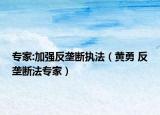 專家:加強(qiáng)反壟斷執(zhí)法（黃勇 反壟斷法專家）