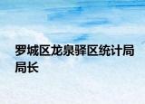 羅城區(qū)龍泉驛區(qū)統(tǒng)計局局長