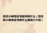 劍靈小神龍證書能兌換什么（劍靈的小神龍證書有什么用簡介介紹）