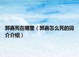 郭嘉死在哪里（郭嘉怎么死的簡(jiǎn)介介紹）
