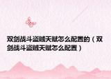 雙劍戰(zhàn)斗盜賊天賦怎么配置的（雙劍戰(zhàn)斗盜賊天賦怎么配置）