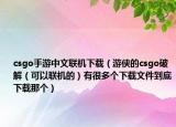 csgo手游中文聯(lián)機(jī)下載（游俠的csgo破解（可以聯(lián)機(jī)的）有很多個(gè)下載文件到底下載那個(gè)）