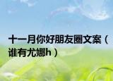 十一月你好朋友圈文案（誰有尤娜h）