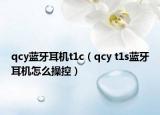 qcy藍(lán)牙耳機(jī)t1c（qcy t1s藍(lán)牙耳機(jī)怎么操控）