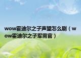 wow霍迪爾之子聲望怎么刷（wow霍迪爾之子軍需官）