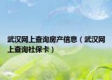 武漢網(wǎng)上查詢房產(chǎn)信息（武漢網(wǎng)上查詢社保卡）