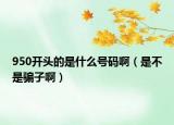 950開頭的是什么號(hào)碼?。ㄊ遣皇球_子?。? /></span></a>
                        <h2><a href=