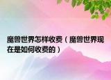魔獸世界怎樣收費（魔獸世界現(xiàn)在是如何收費的）