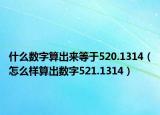 什么數(shù)字算出來(lái)等于520.1314（怎么樣算出數(shù)字521.1314）