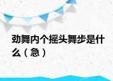 勁舞內(nèi)個搖頭舞步是什么（急）