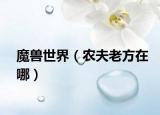 魔獸世界（農(nóng)夫老方在哪）